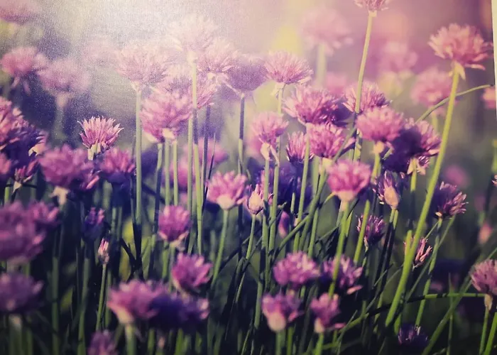 Alta Vista - Con 2 Y Vista Al Mar